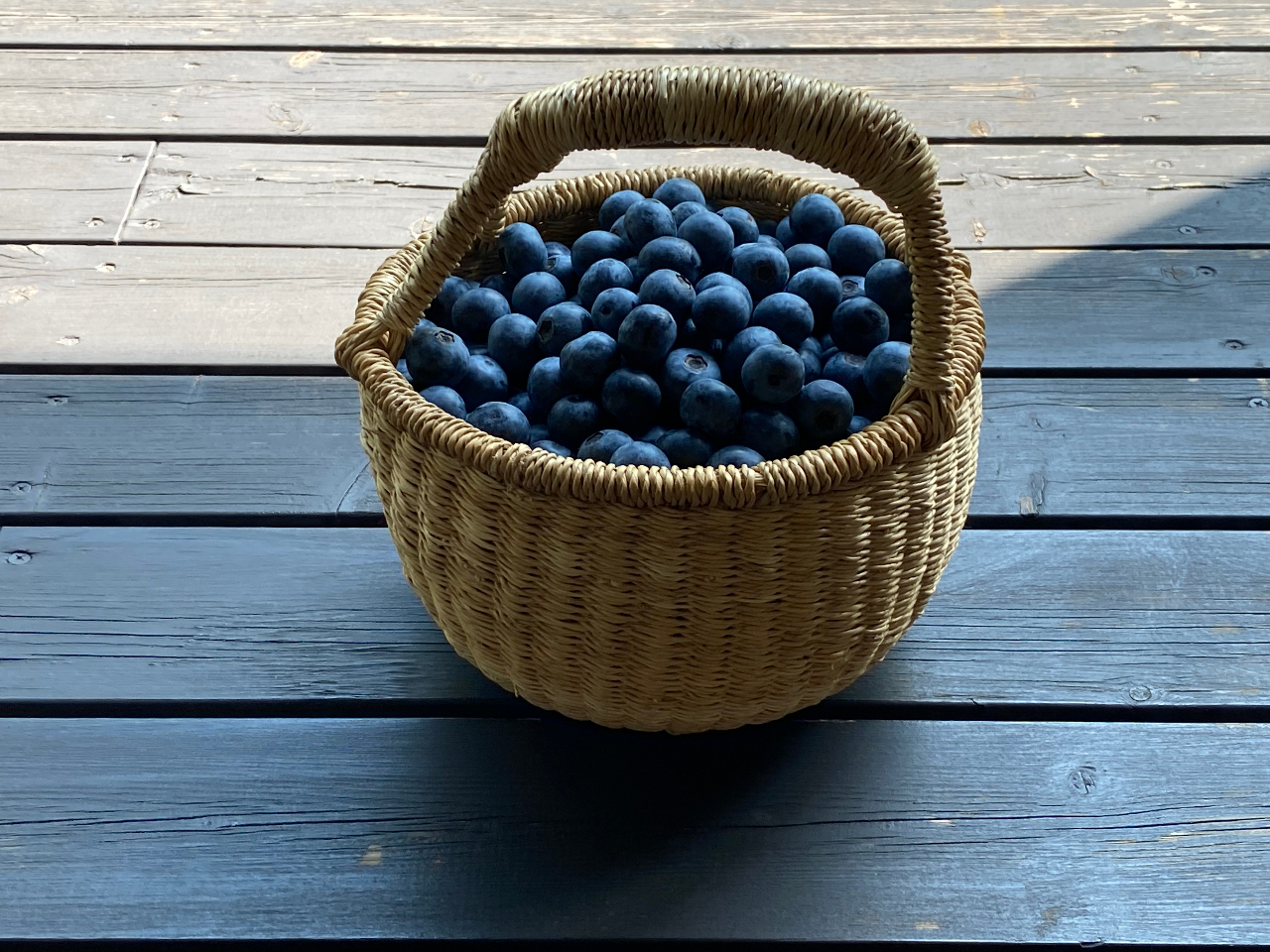 u[x[̃V[Y̓u[x[ꏏɊy߂܂