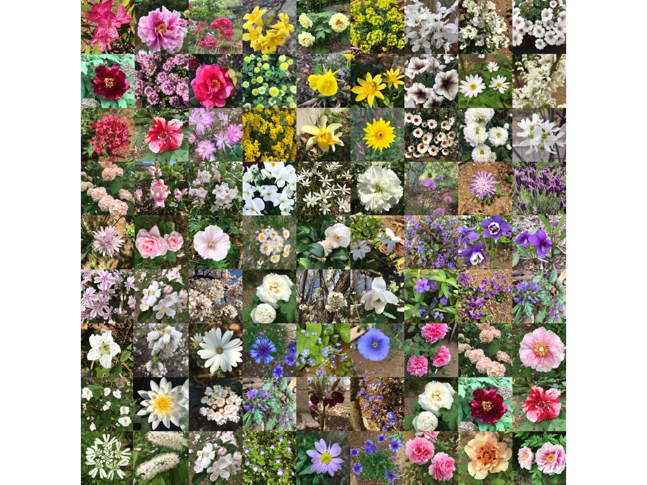 уCObVK[fɂ͎lG܁X̉Ԃ炢Ă܂B