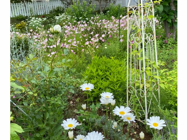 家族で作ったイングリッシュガーデンでは春から秋まで色とりどりの草花を楽しむことができます。