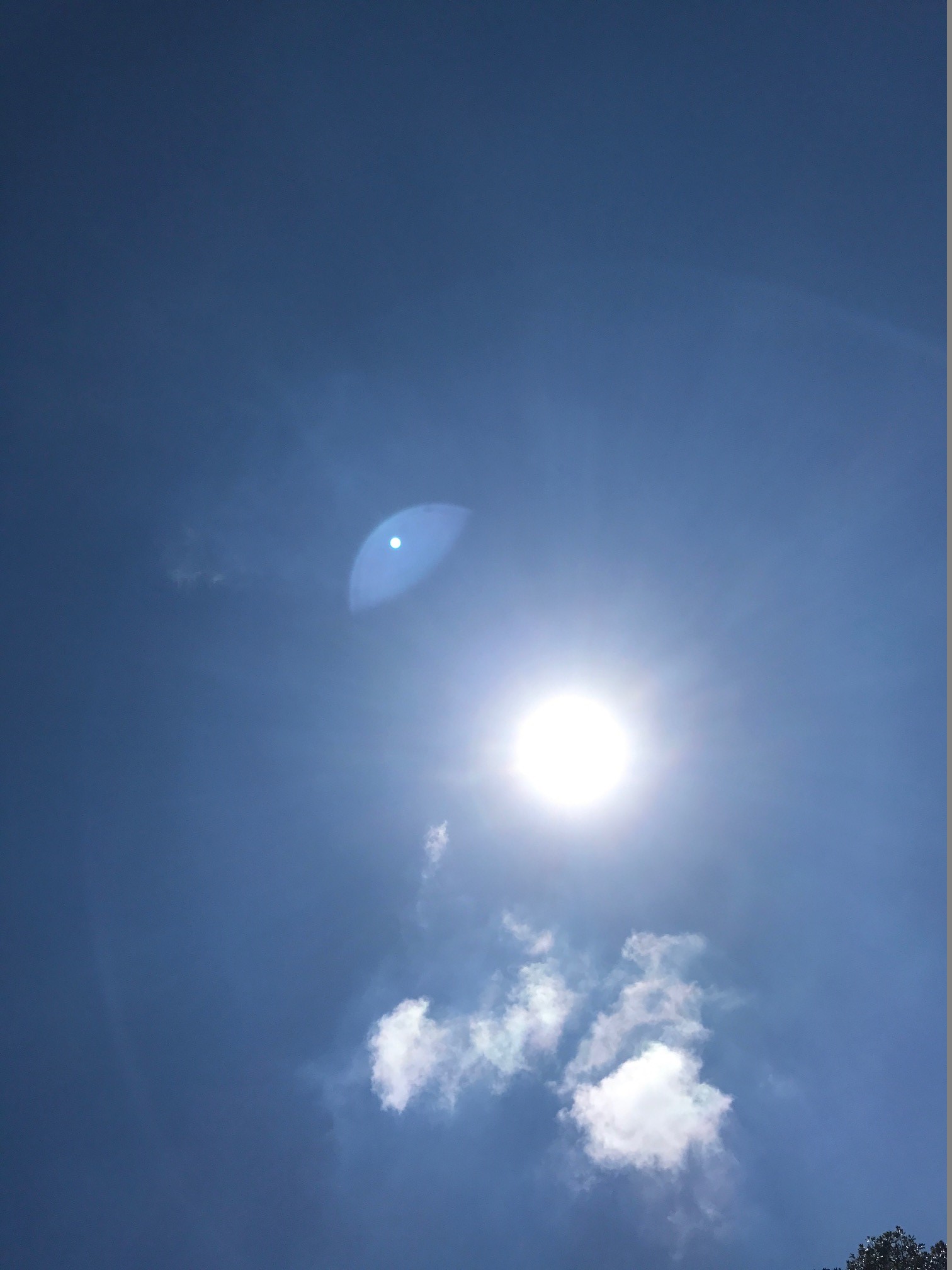 �C�����ǂ��������I