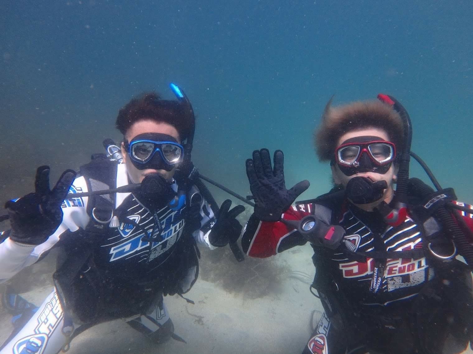 �C���U�������y���݂���������