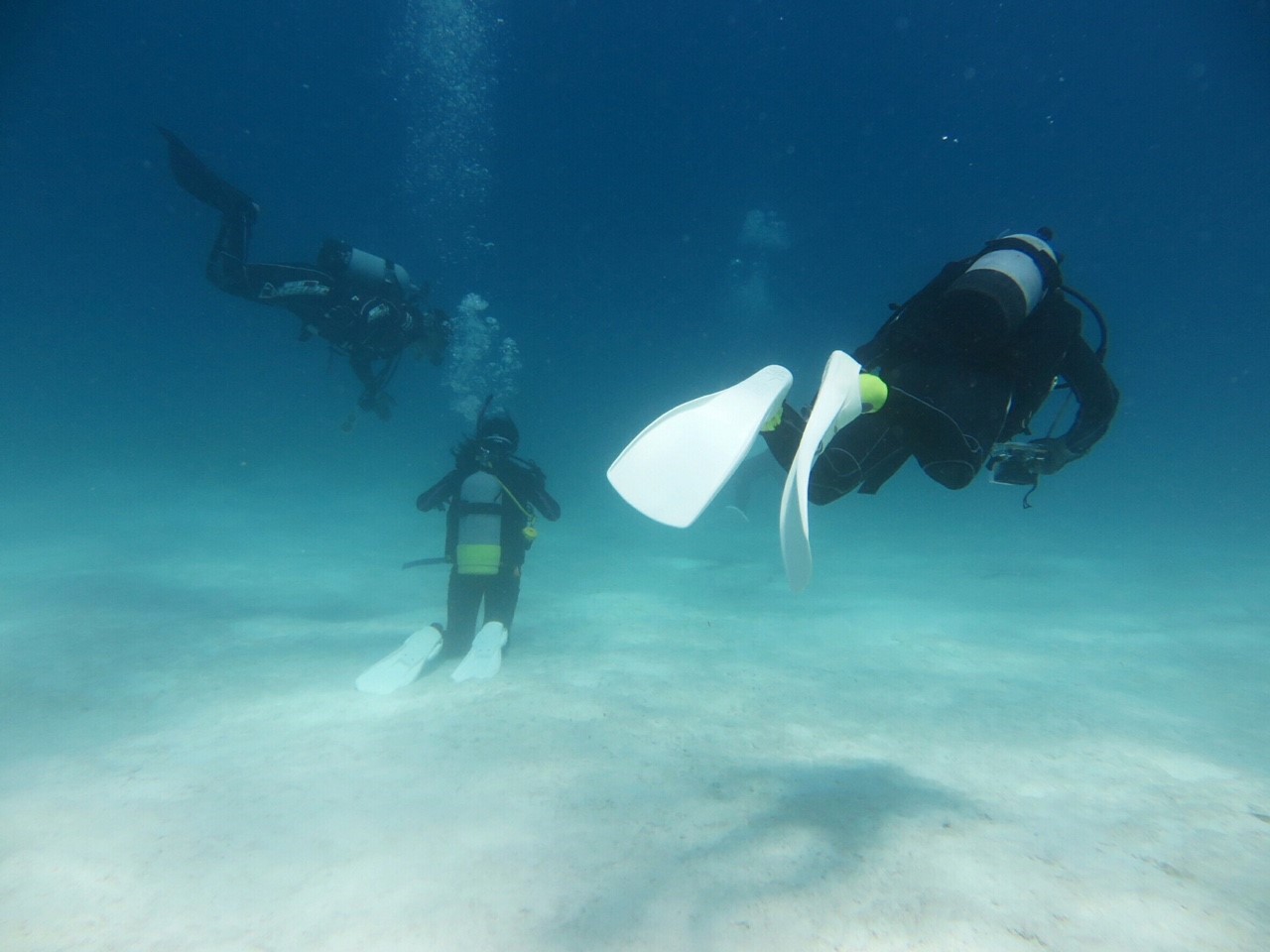 �����΃X�C�X�C�����܂���