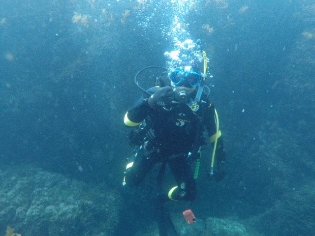 ����ł͖��킦�Ȃ��I