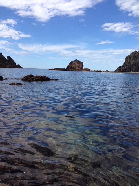 �Y��ȃW�I�p�[�N�̊C�ł��y���݂��������I