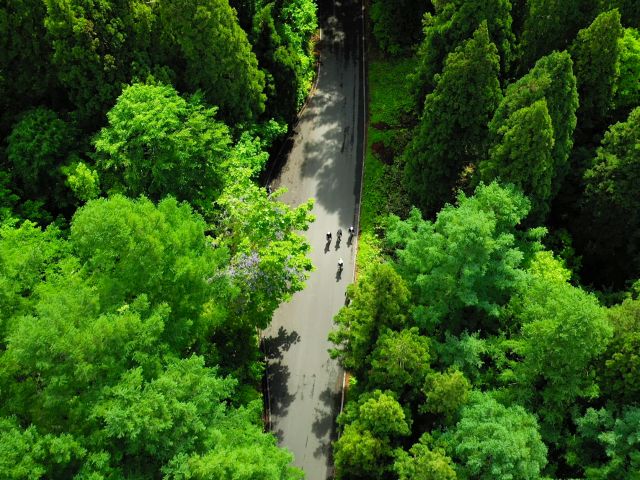 Nozawaonsen Nostalgic E Bike Tour Green Field じゃらん遊び体験 Nozawaonsen Nostalgic E Bike Tour Green Field じゃらん遊び体験