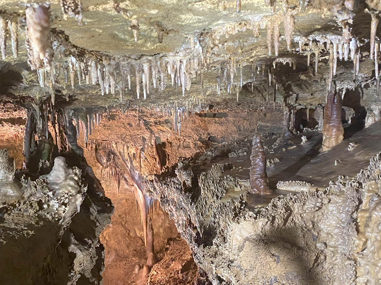 入場料10％オフ】落差30mの地底滝は必見！洞窟探検気分が楽しめる