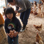 普段なかなかできない卵拾いの体験です♪