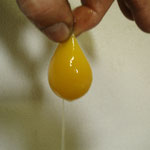 レモンイエローの黄身とお米やお野菜のさわやかな甘みが特徴の卵です♪