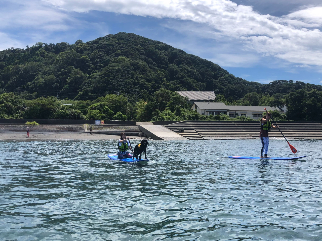 初めてのSUP 初心者でも安心、海上散歩を楽しんでください♪ シャワー更衣室完備