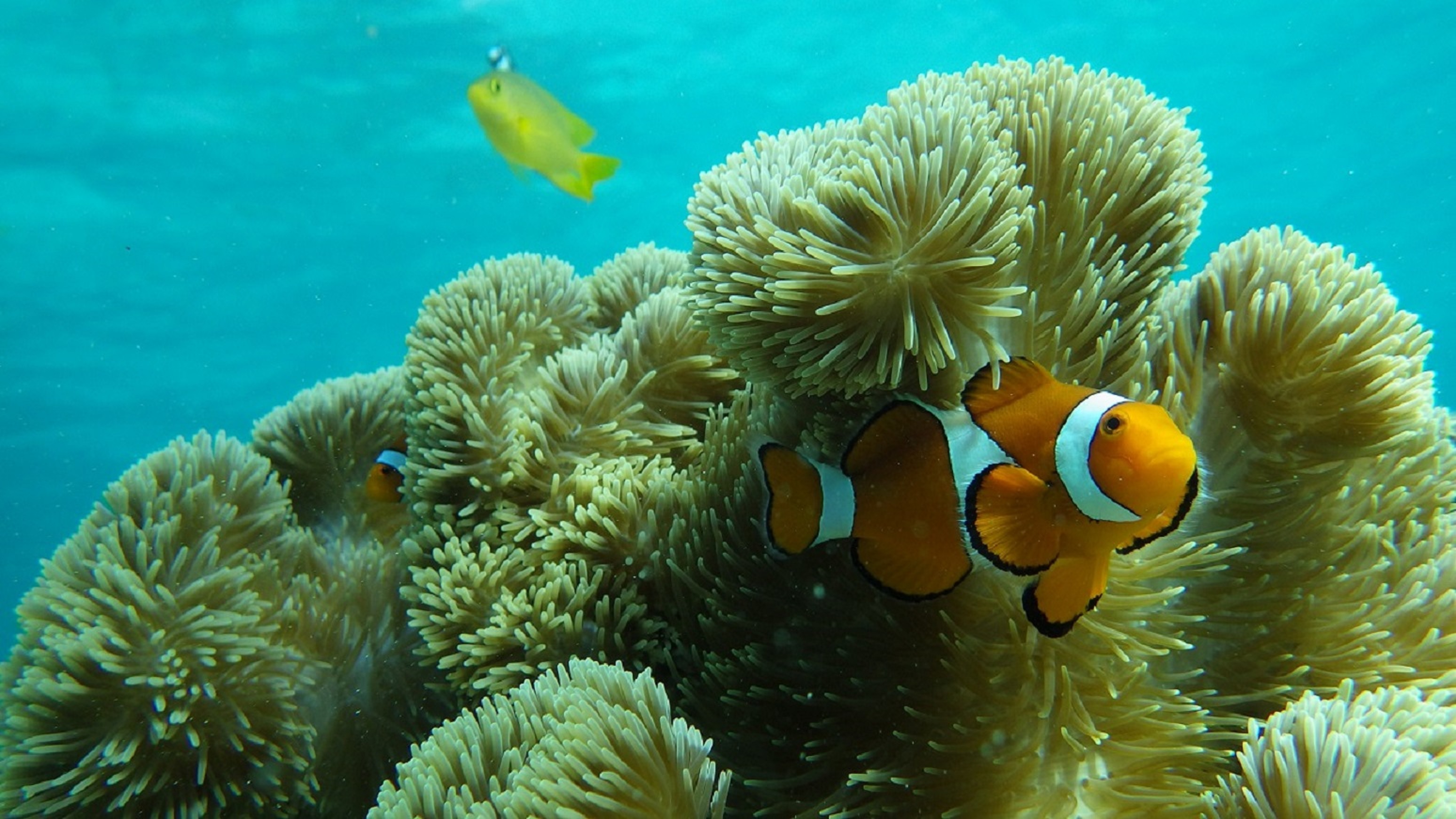 lĆuJNN}m~vԋ߂ŊςꂿႢ܂I
JNN}m~ȊOɂނ̃N}m~܂