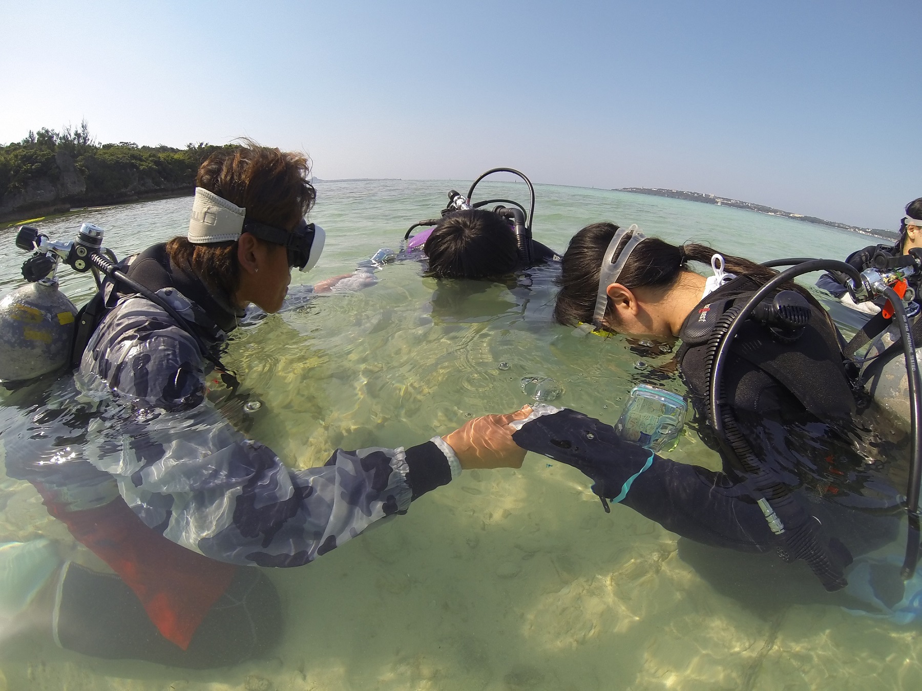 ��������ƃ��N�`���[�����K�����Ă����܂��I
�_�C�r���O�ł������I�Ǝ��M�����Ă���s���܂��傤!