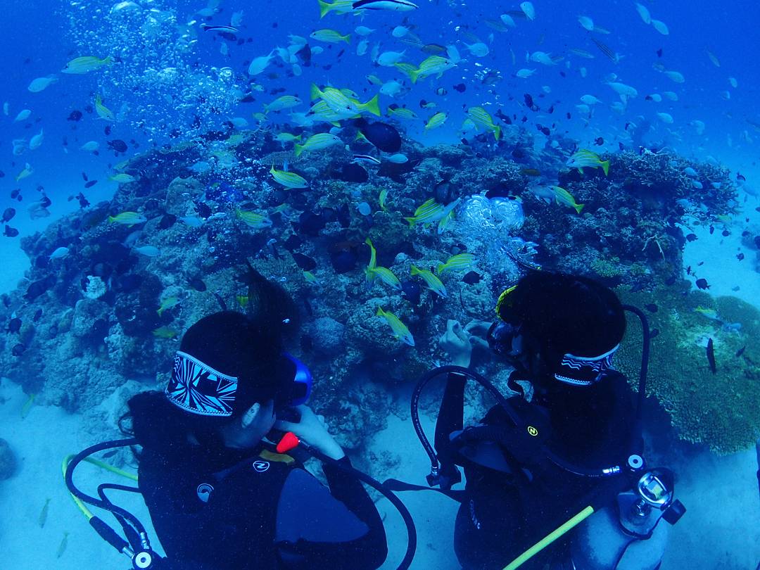 AX̎Ri΂j̊CI
at̂ł߂ŋƗVׂ܂