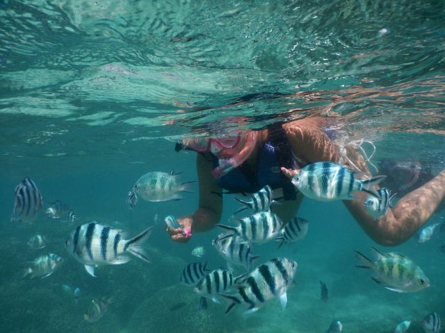 餌付けをするとさらに近くで観察できます♪