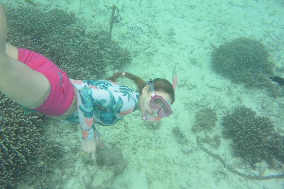 XL_CrOifj̃N`[܂
N`[󂯂΃XCXCƐĂ܂I