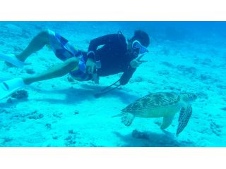 海ガメとの遭遇も高確率!