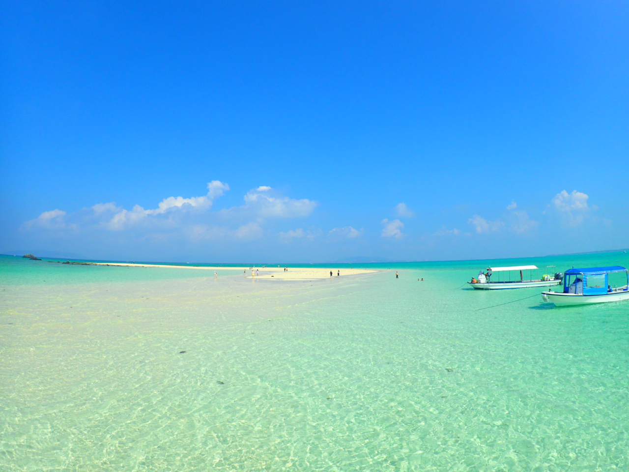 透明度抜群の海です!