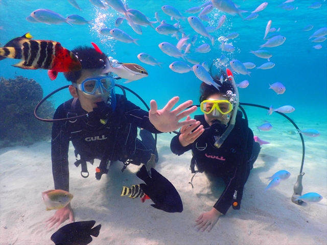 �G�ꂻ���Ȃقǂ�������̔M�ы��I