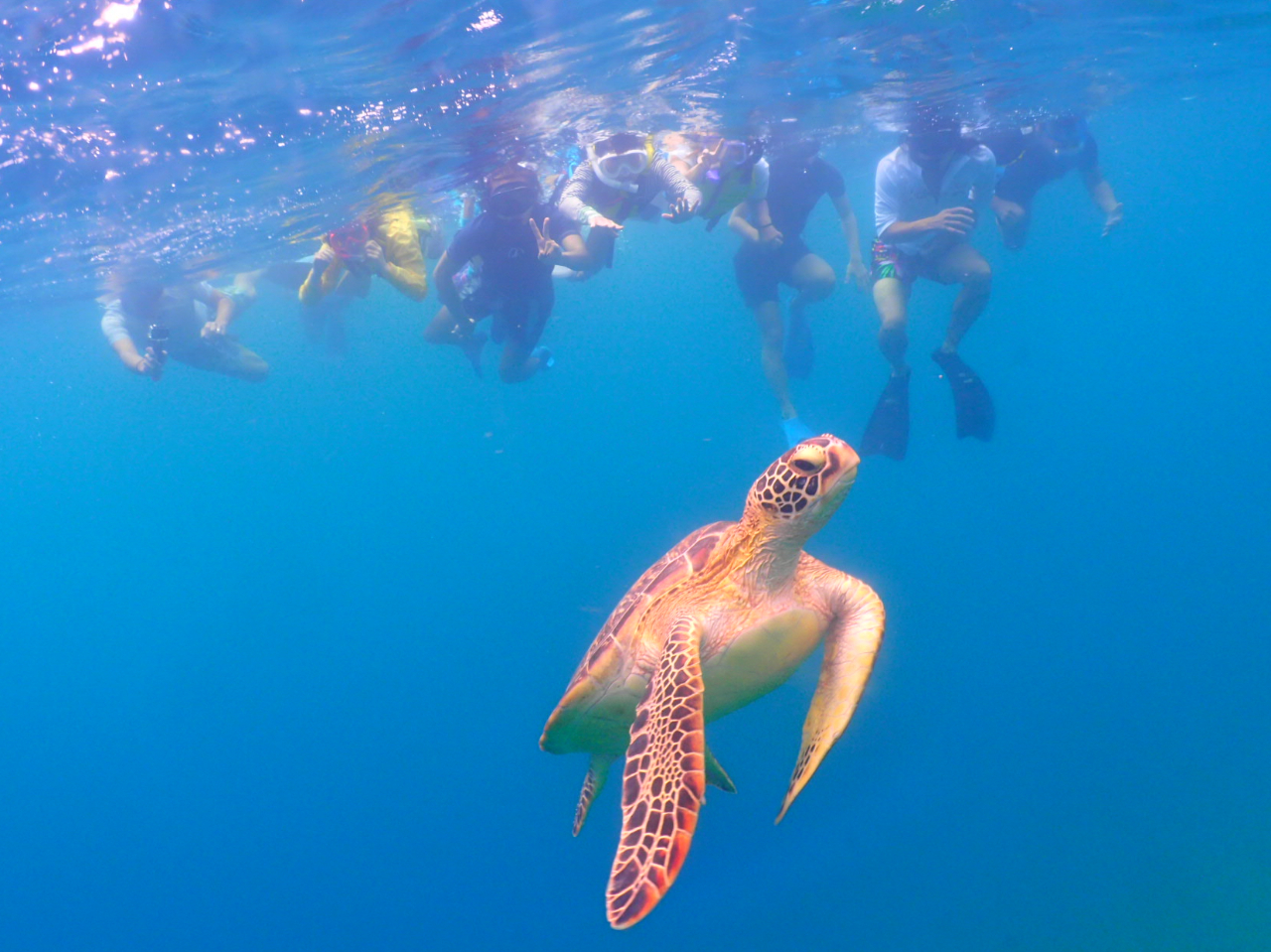 ����̃E�~�K���ƈꏏ�Ɏʐ^���B�낤�I�I