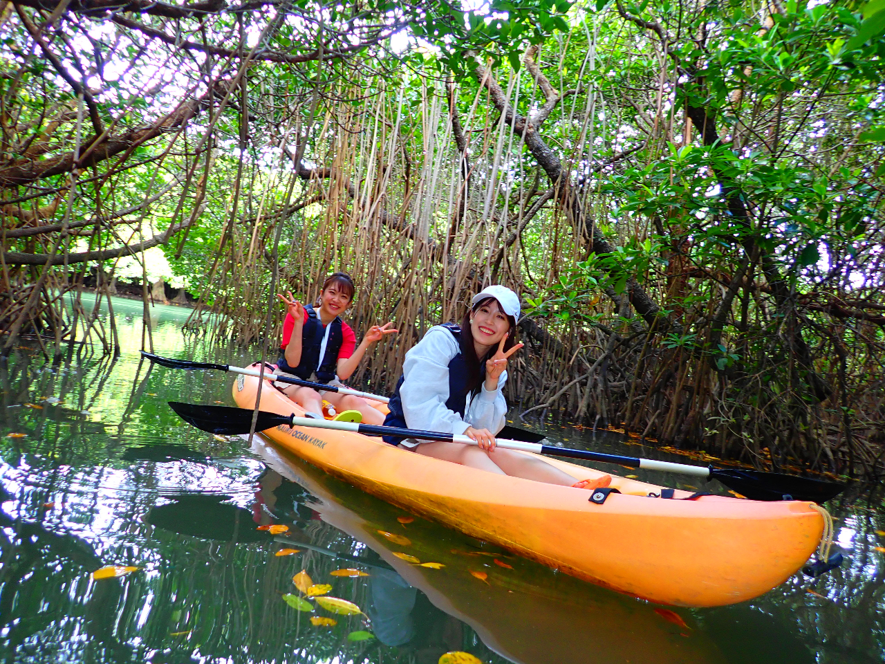 �}���O���[�u�т̒T�����ł��܂�