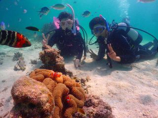 手軽にダイビングしてみませんか?