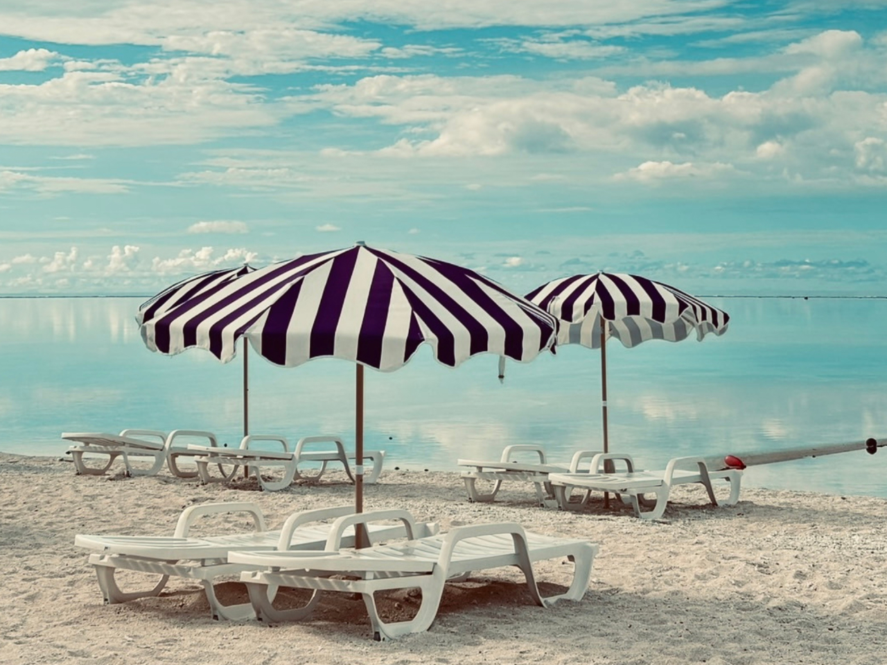 �t���[�ł����p���������܂���