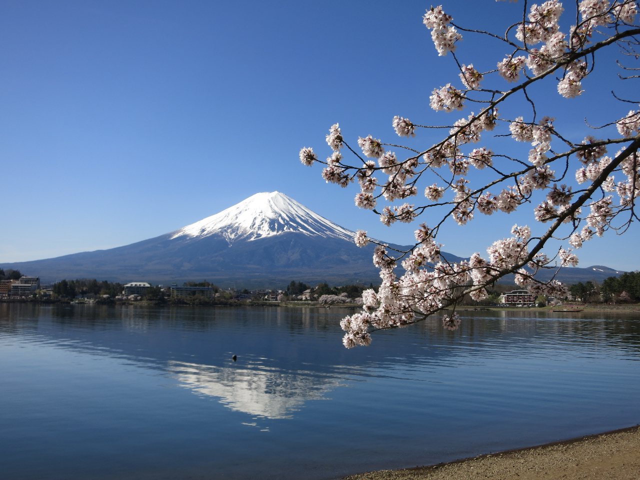 G߂Ƃɕ\̈ႤxmRyݒ܂