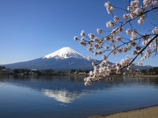 季節ごとに表情の違う富士山をお楽しみ頂けます♪