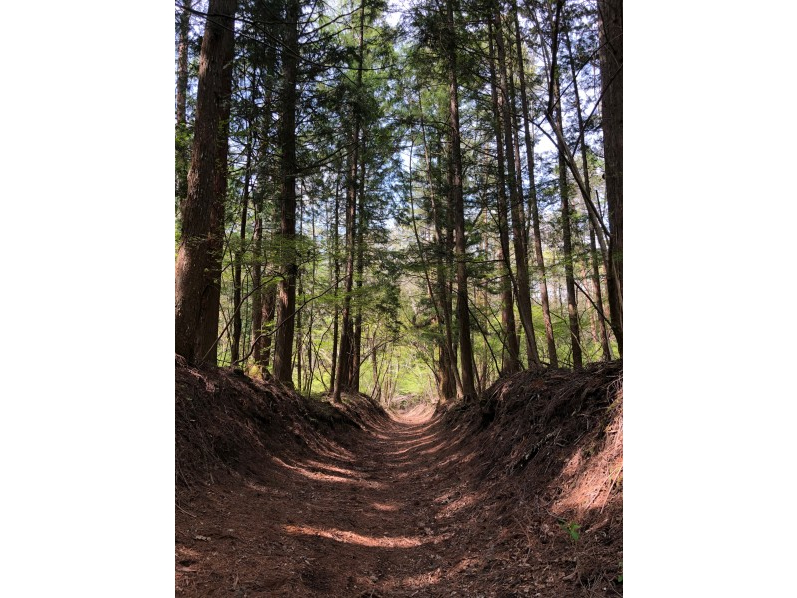 �������ꂽ�ѓ��ƁA�������̃g���C���R�[�X�̍��������R�[�X��MTB�̑�햡�𖞋i�I