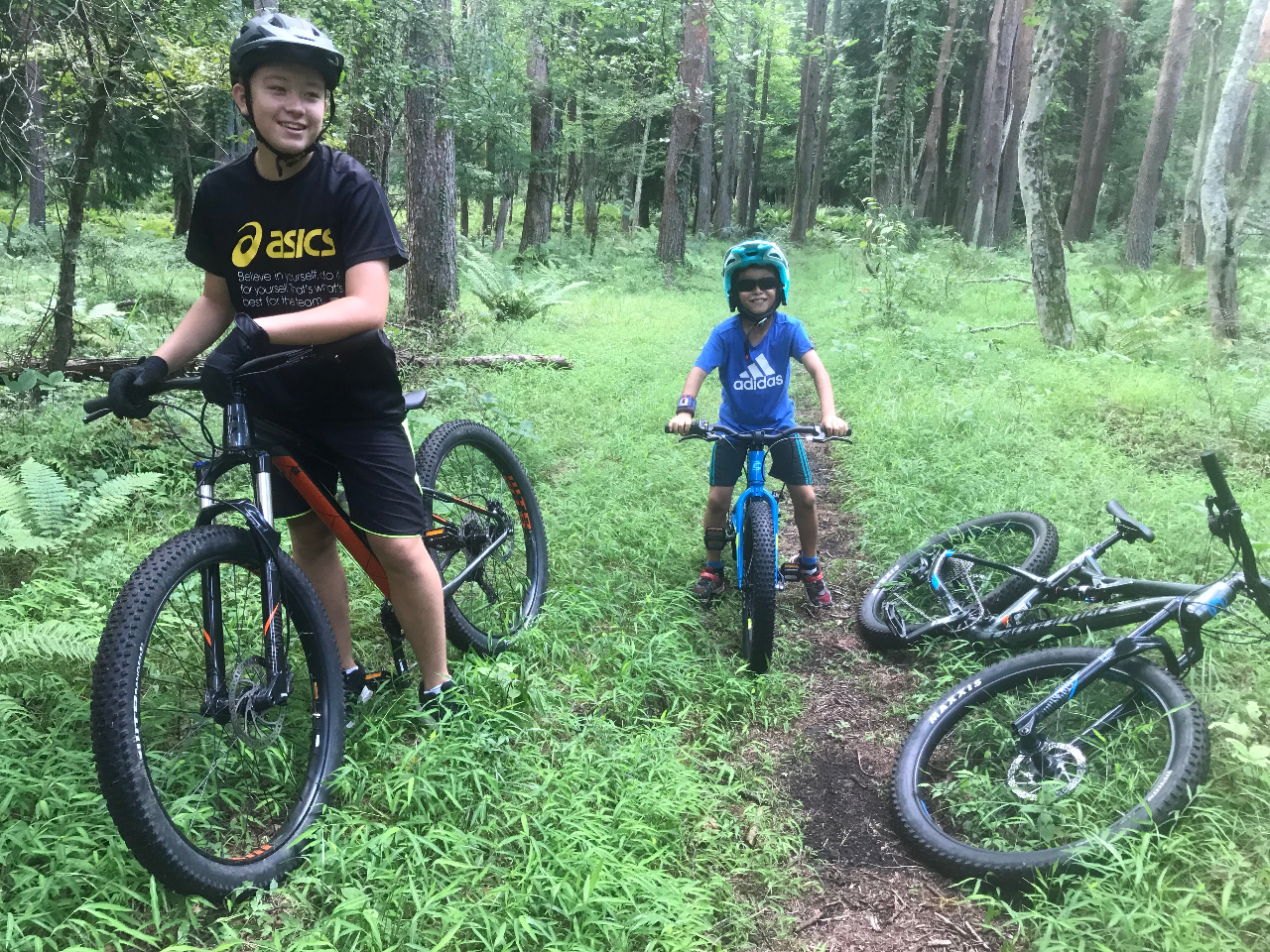 q܂ły߂܂􁦐gɂĂQȂꍇ܂B