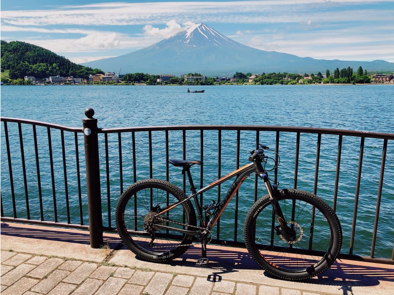 xm܌΂ňԐlC̉͌΂MTBłVI