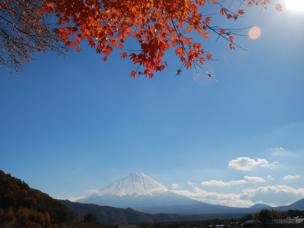 Ήzɂ͗YȕxmR邱Ƃł܂B