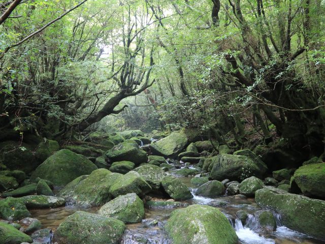 清流