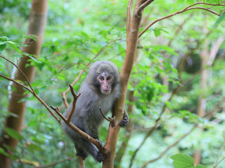 NU⃄NVJɏo鐢ERYen@ѓ