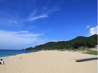 ウミガメ産卵田舎浜