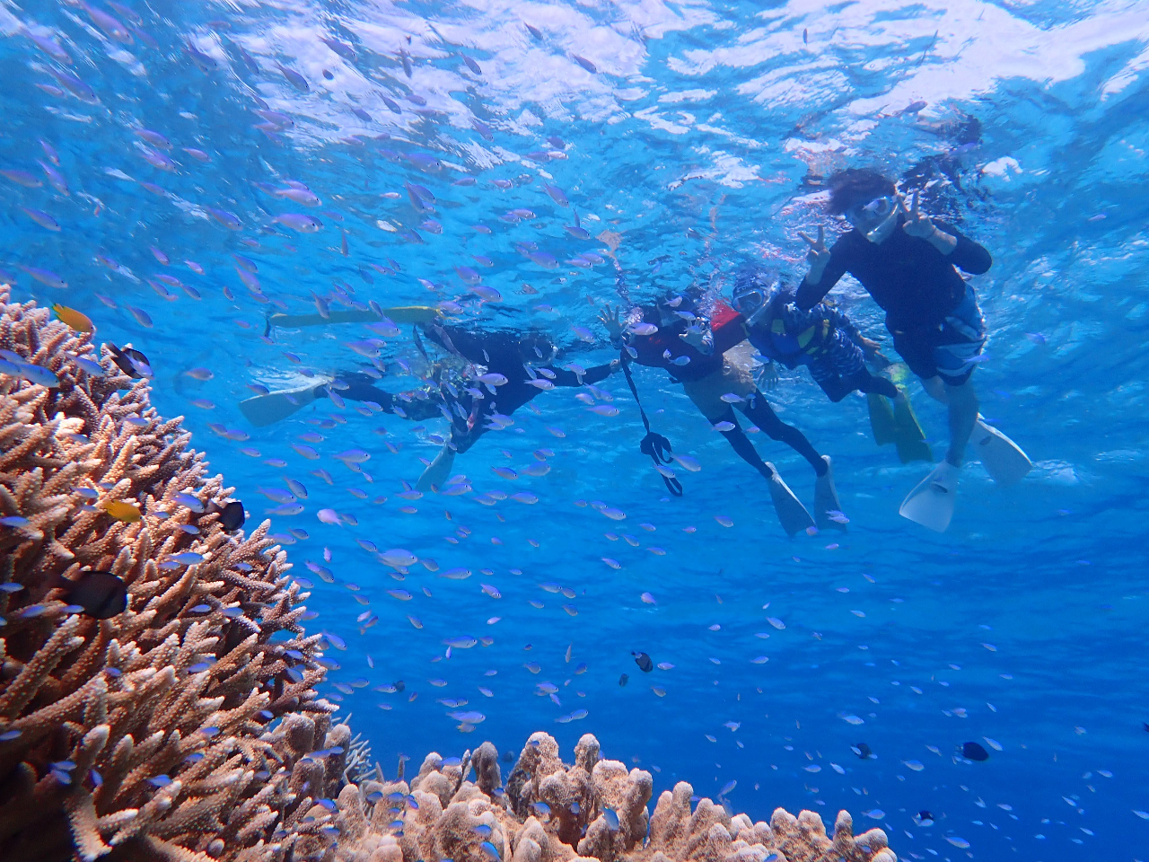 MARINE LINK FOR DIVERS�̎ʐ^2