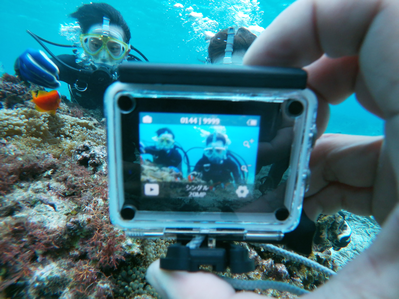 J^]͐Be\łBvoB܂傤BB