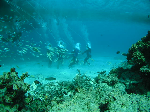 ]΂Ȃ悤ɂ݂Ȃňꏏɕ܂傤I