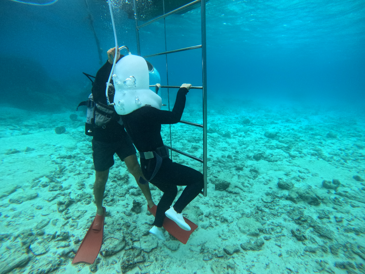 船から降りるときは、ハシゴを使ってゆっくり海底まで降りて行きます。