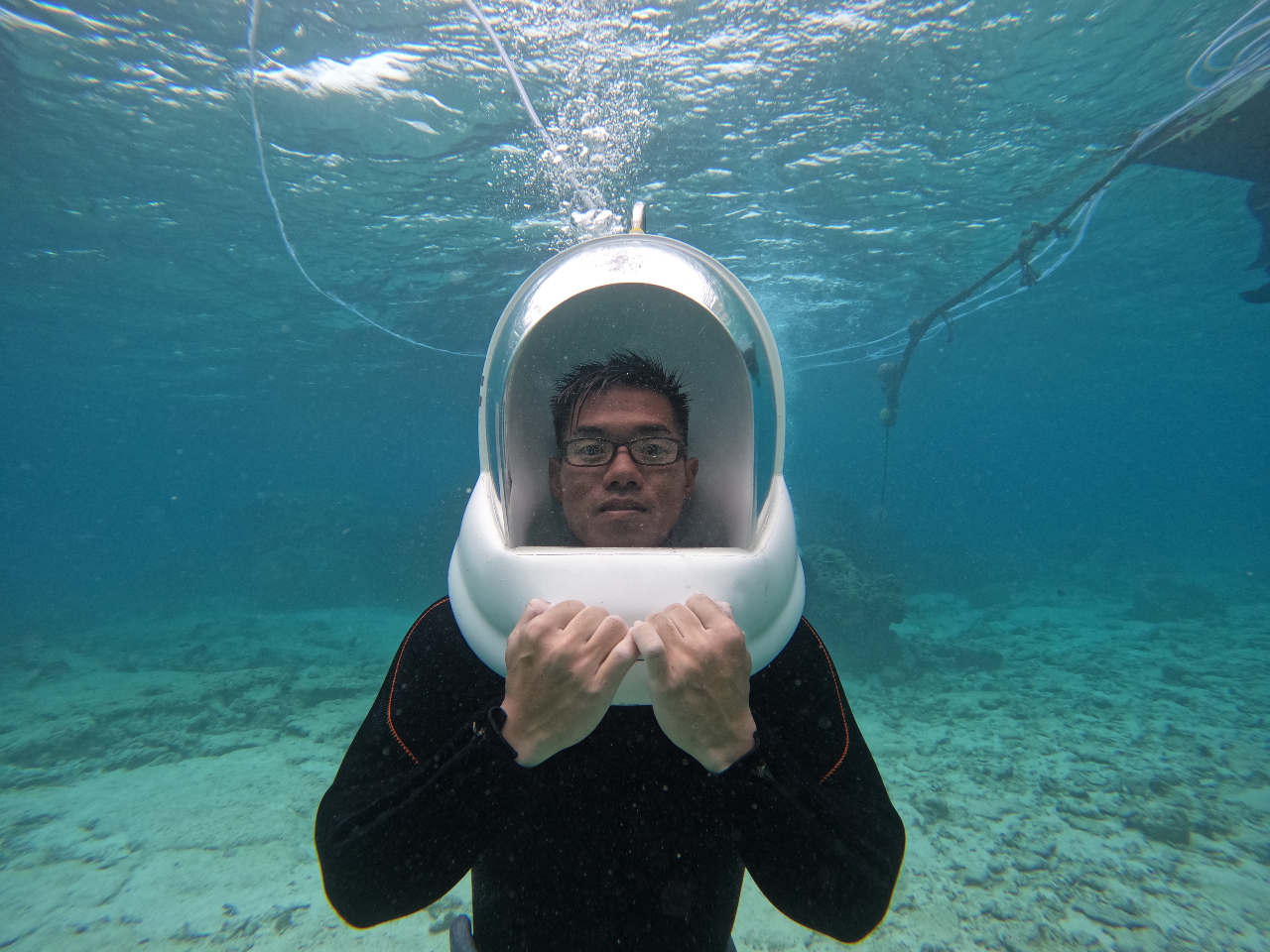 V[EH[N̓KlR^Ng܂܂łOK!!@炪G܂B