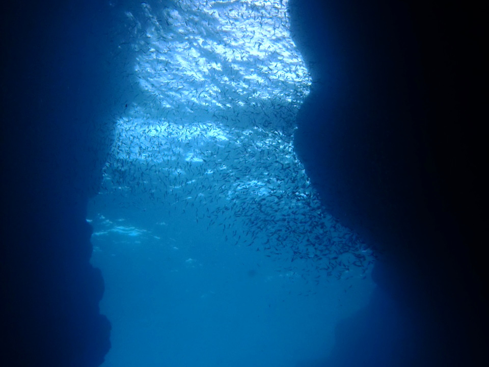 シュノーケルでは青の洞窟が見れます。