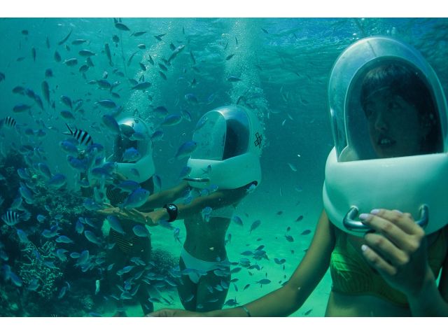 熱帯魚が近いで見れちゃいます!