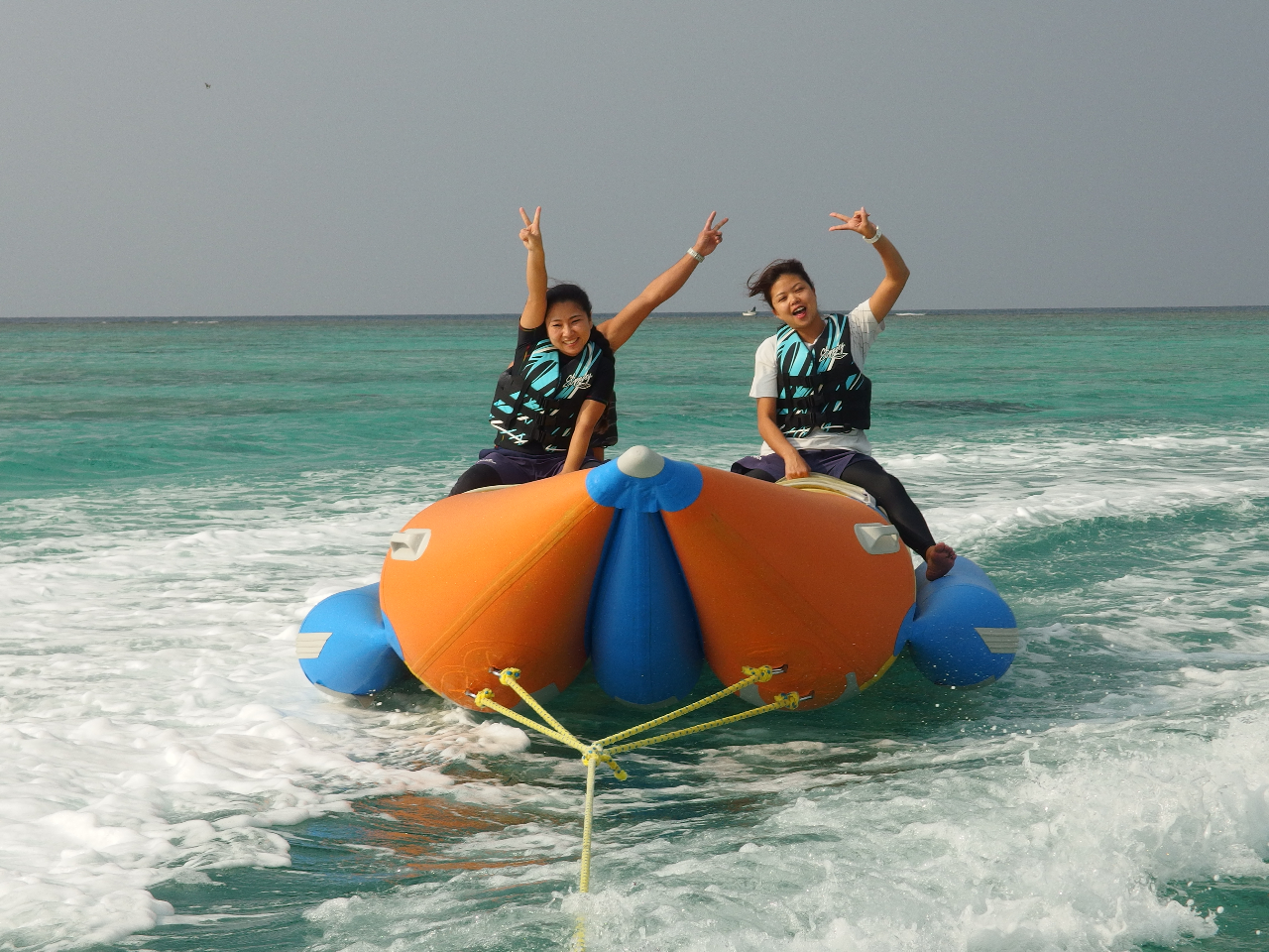 Pbg{[g͈芴AqlłSĂpł܂B