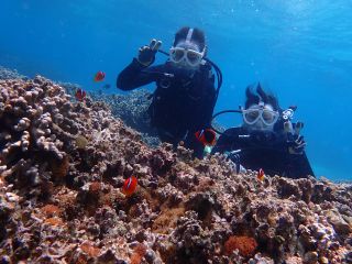 青の洞窟・フルフェイスマスク体験ダイビングです。レギュをくわえないので顔も濡れずに呼吸も楽チンです。