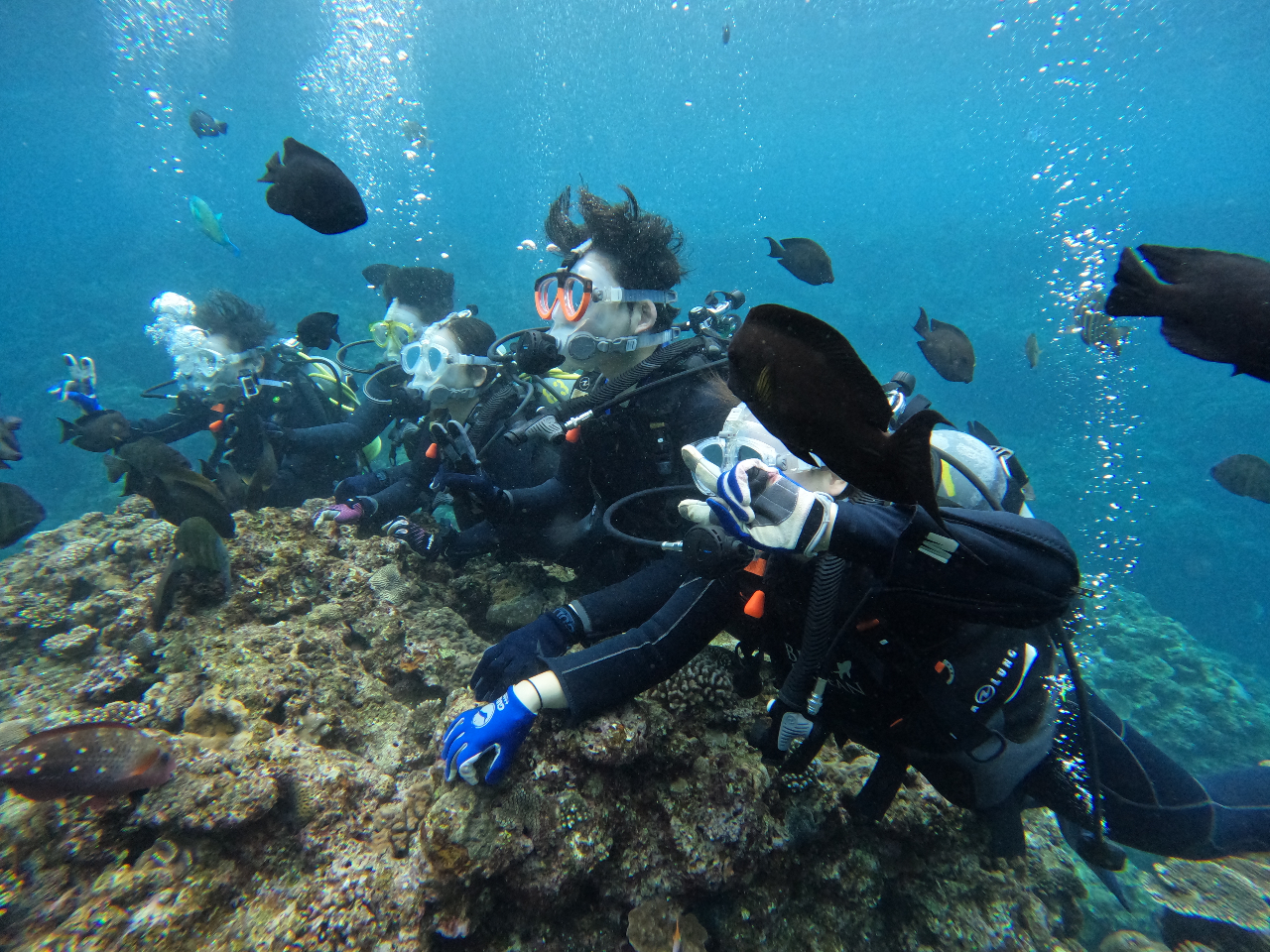 コブラ200F ピンク ディープブルーオーシャン G122 コブラ200F ピンク