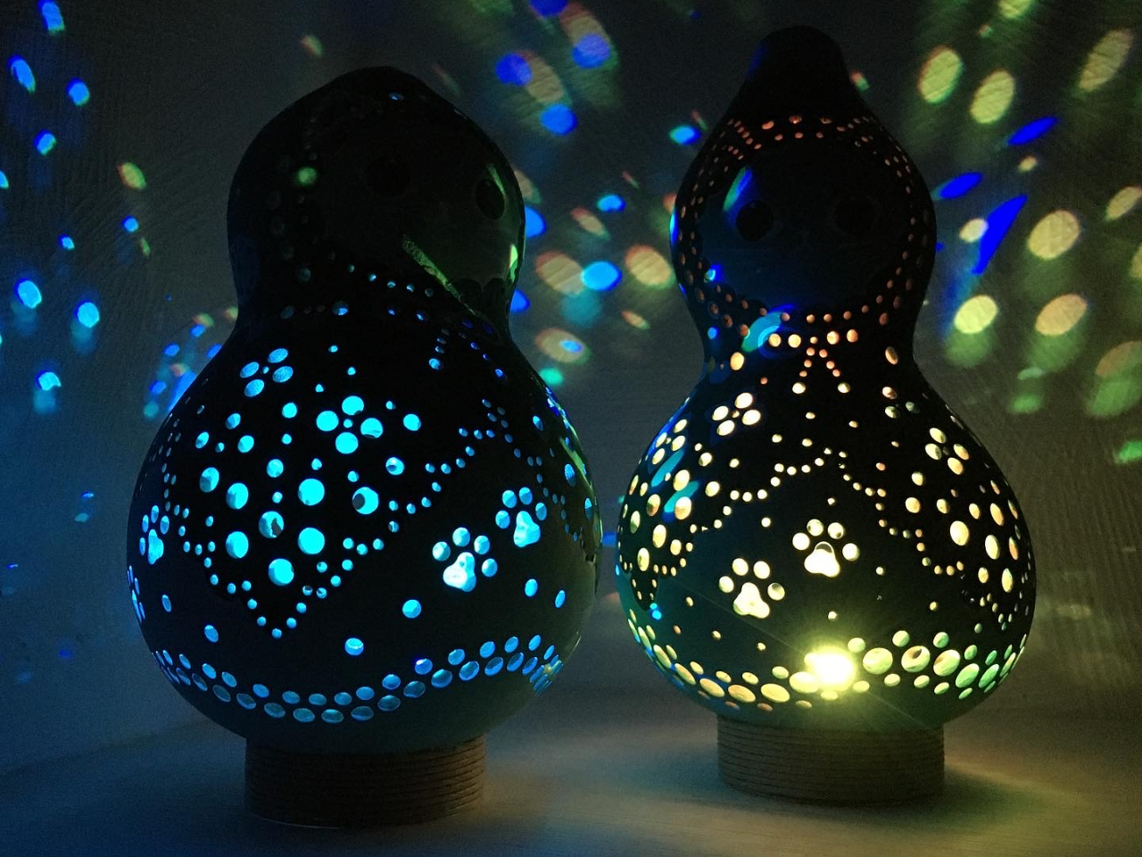 �k�d�c�_����