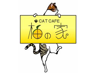 土日限定 人気の60分滞在プラン カップルやファミリーにおすすめ ちろんおひとり様でも大歓迎です 可愛い猫に癒されてくださいね 猫カフェ 柚の家 じゃらん遊び体験