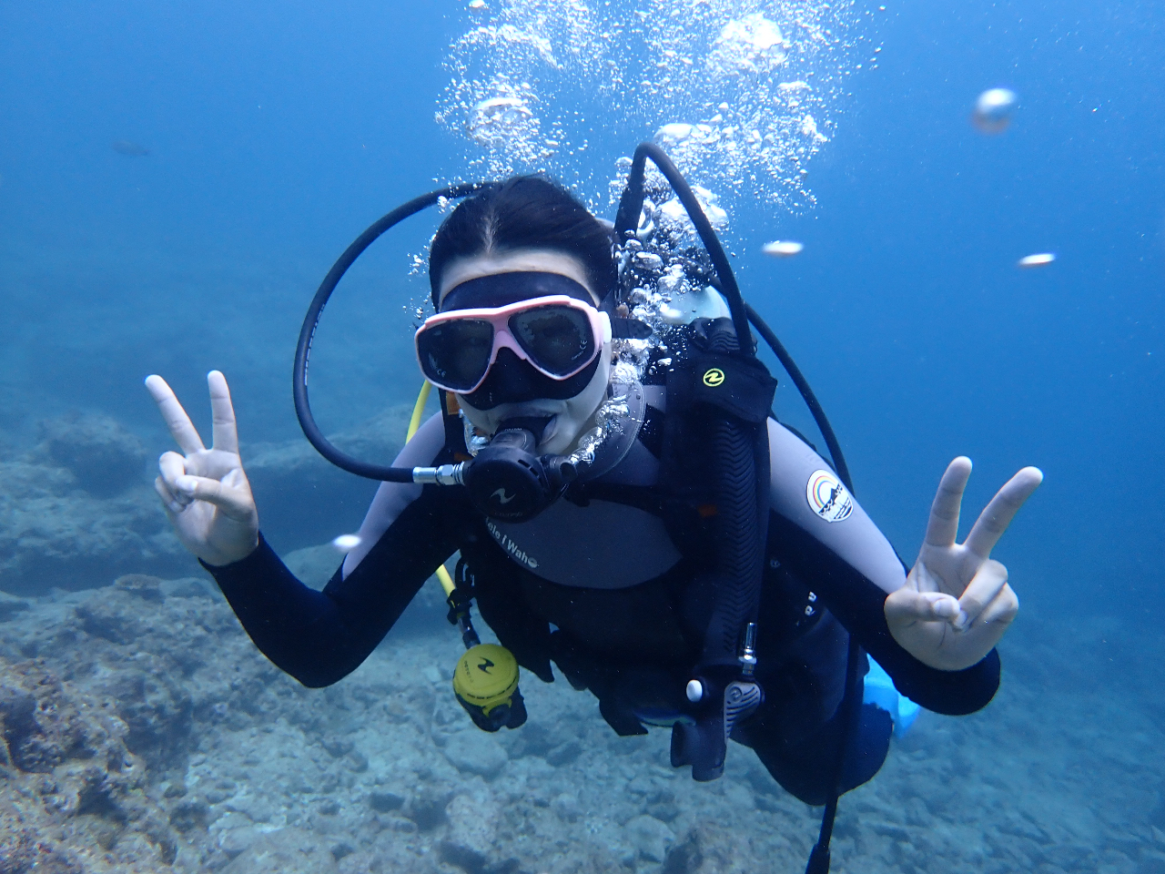 ダイビング体験