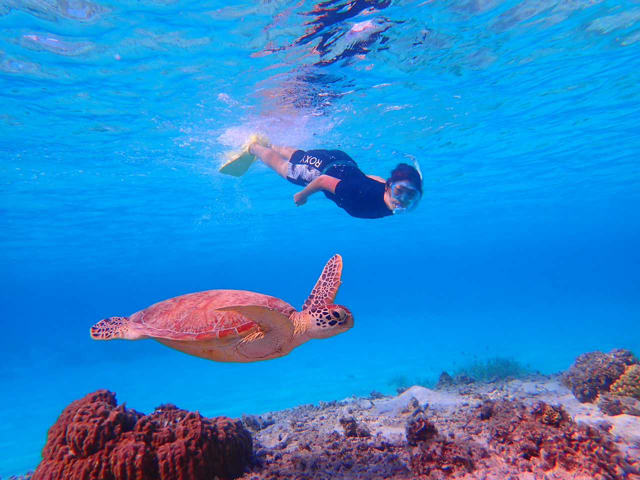 ウミガメに会おう！カヤックde島ピクニック◇1dayツアー/ランチ