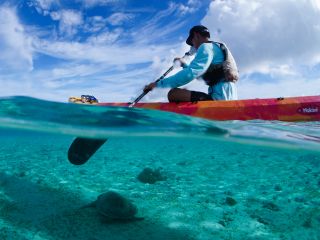 カヤックに乗りながら水中が見えるくらいの抜群の透明度!