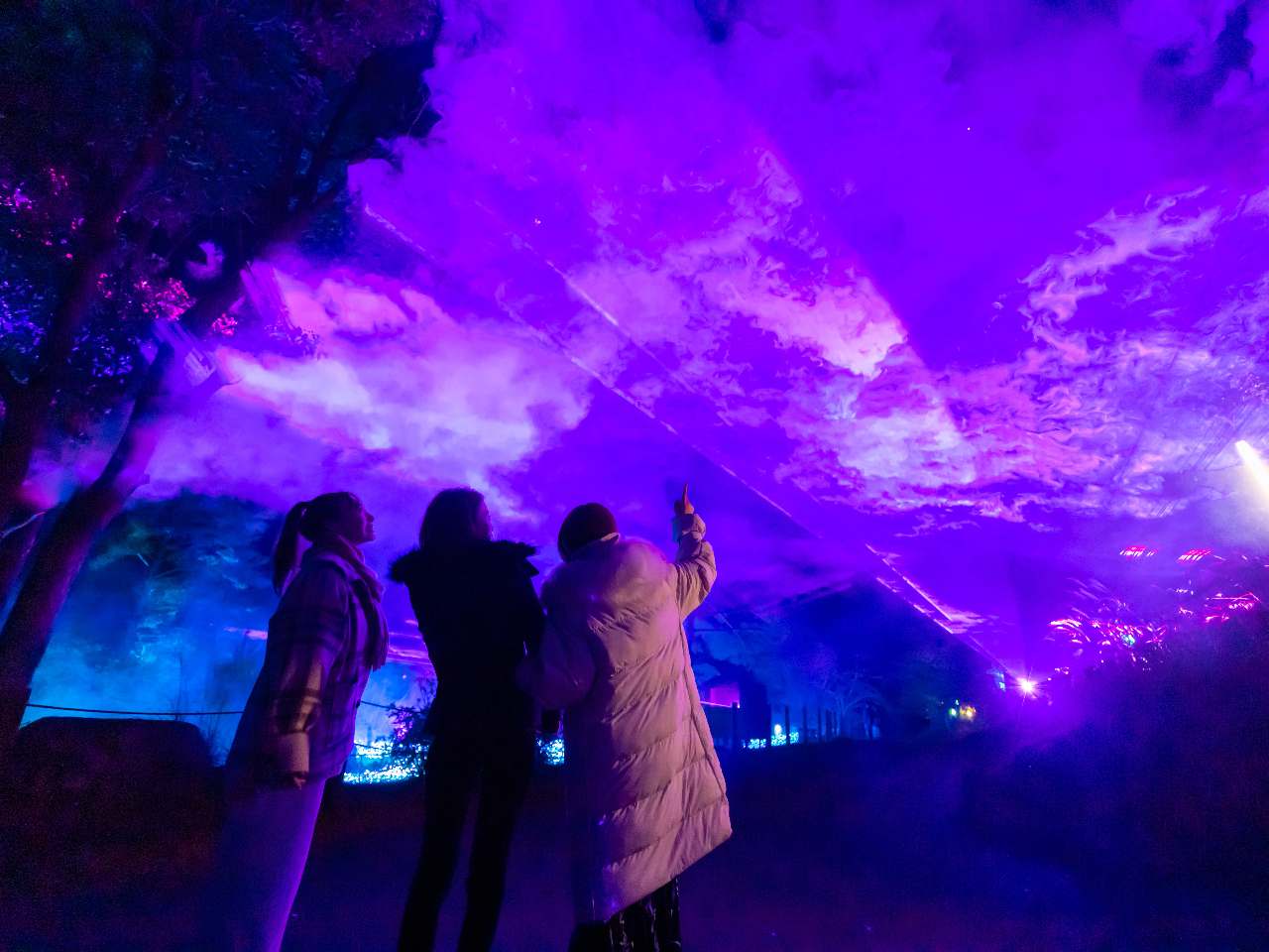 オーロラエクスペリエンス